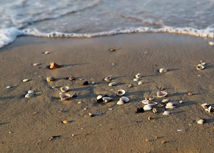 Cozy Flat Next To The Beach-beahost Lägenhet