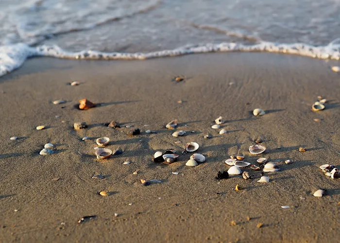 Cozy Flat Next To The Beach-beahost